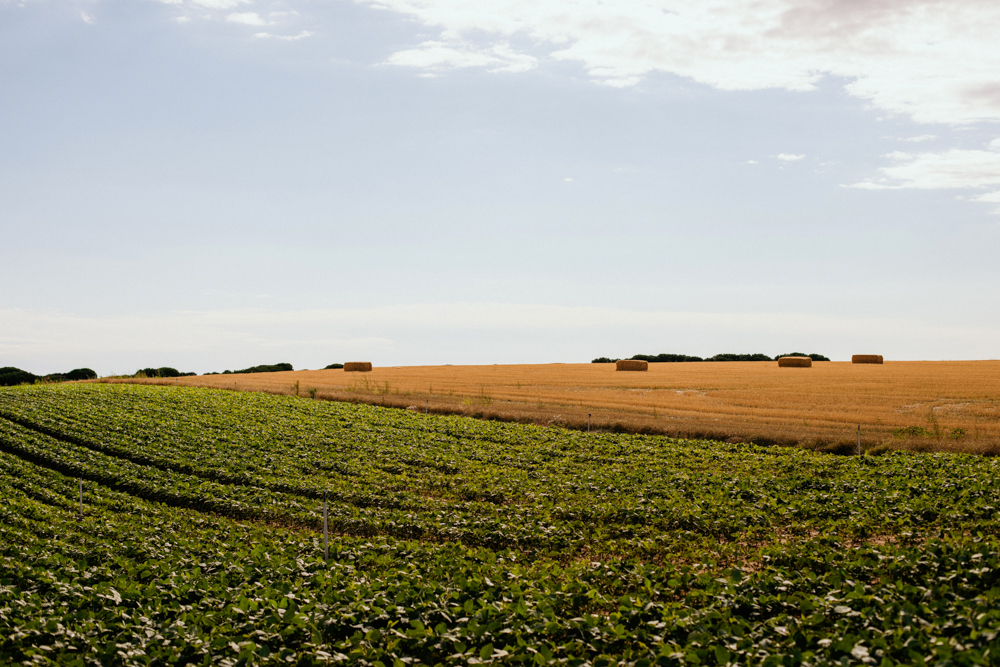 am-producciones-studio-fotografia-producto-madrid-vivesoy-pascual-02